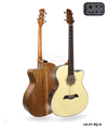 LG-07 EQ Acoustic Guitar 40