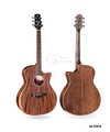 Mahogany Dreadnought Acoustic