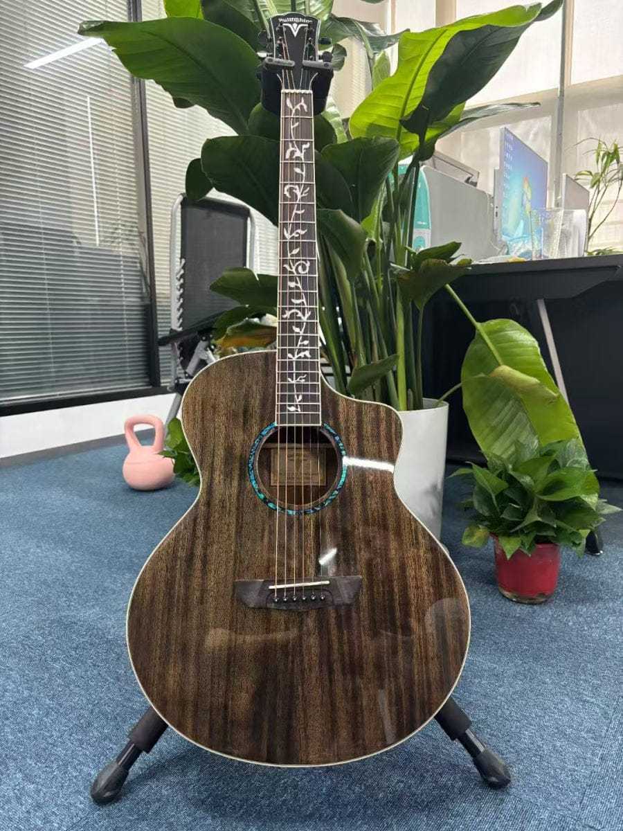 Classic Acoustic FullSet - D4013 Guitar
