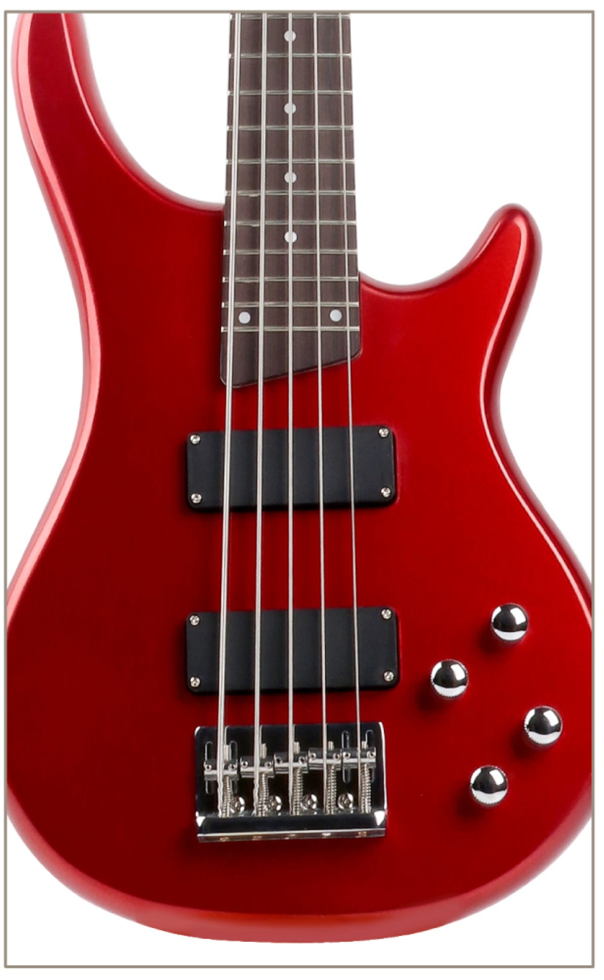 G-B3-5 5-String Electric Bass
