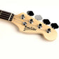 P-Bass 4-Strings Bass Guitar Practice Set