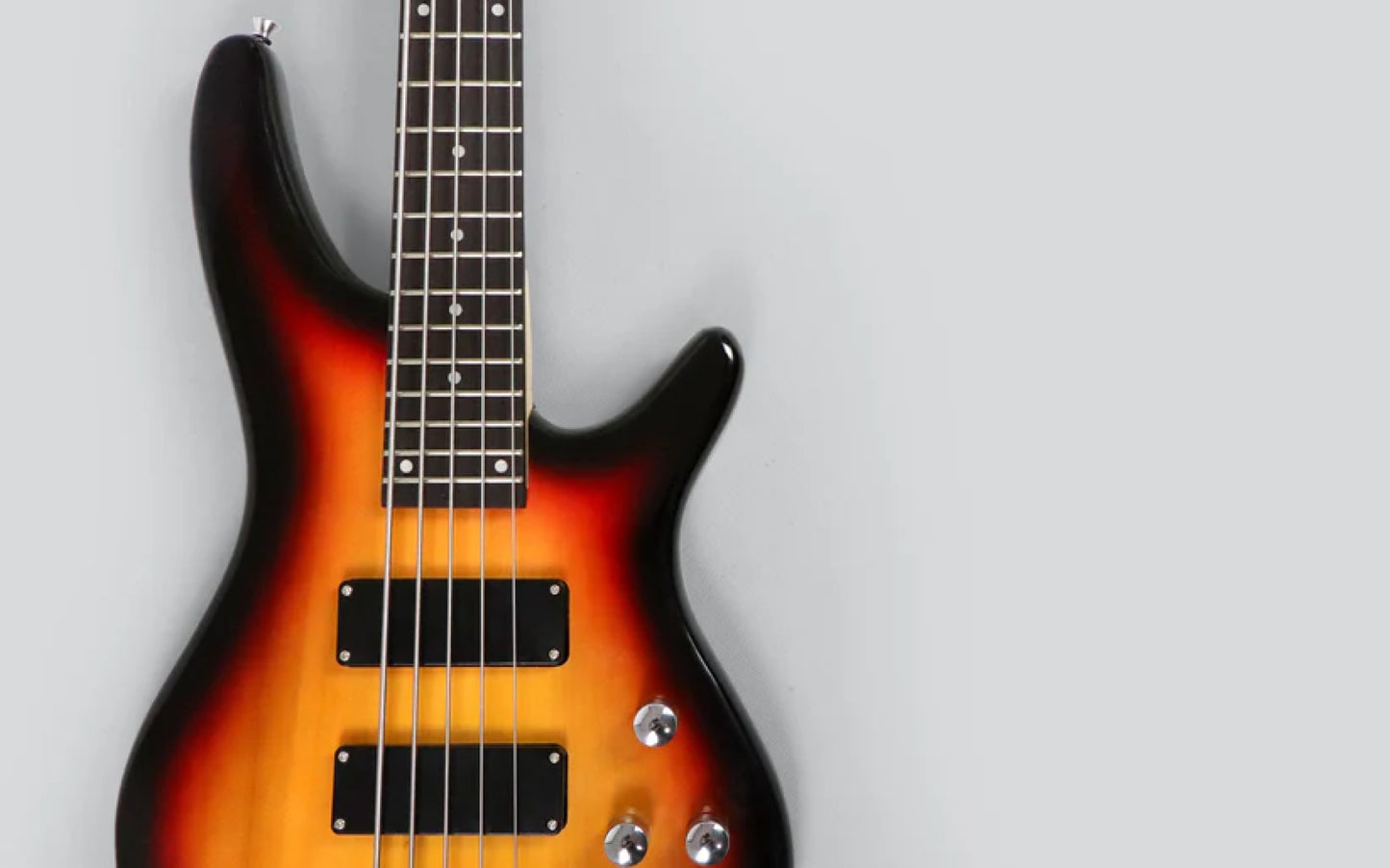 L-B3 Dual-Tone 5-String Bass