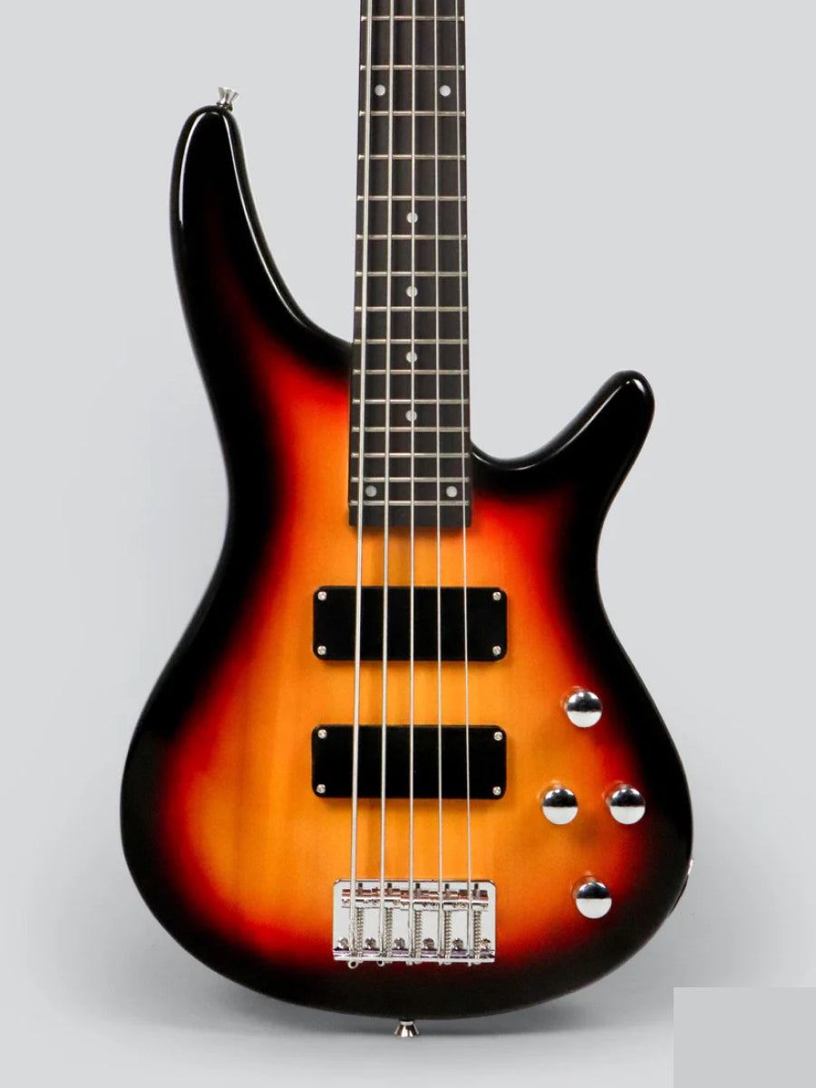 L-B3 Dual-Tone 5-String Bass