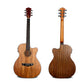 LS-180 Acoustic-Electric Guitar