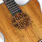 LS-180 Acoustic-Electric Guitar