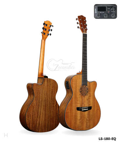 LS-180 Acoustic-Electric Guitar