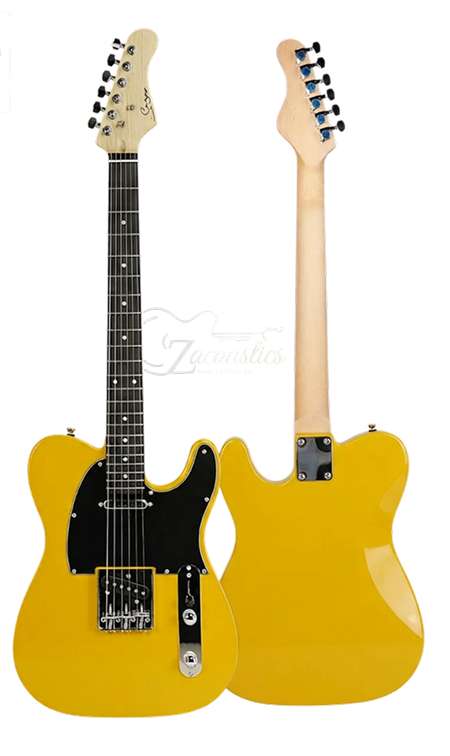 S-G17 Dual-Tone Electric Guitar