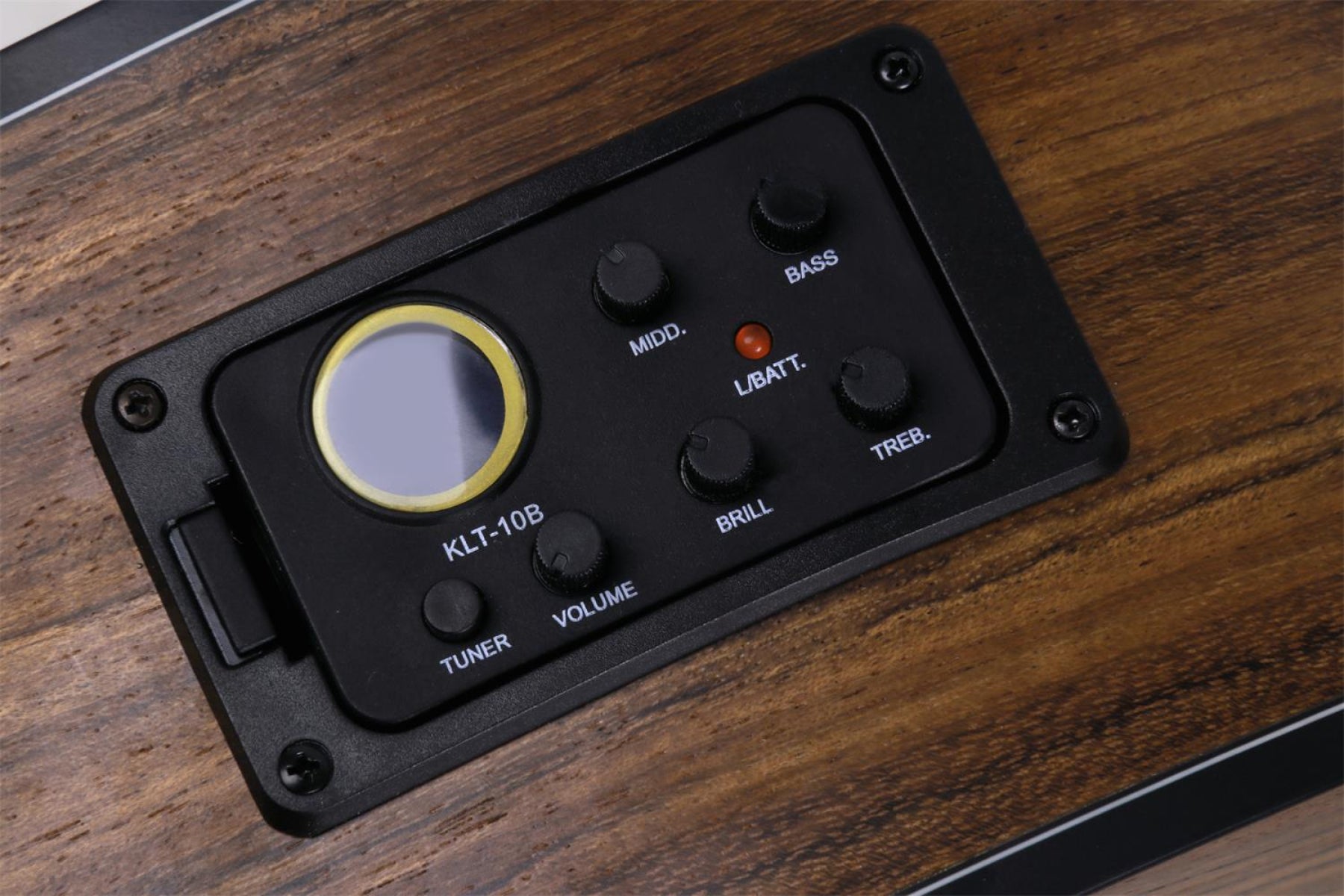 LG-07 EQ Acoustic Guitar 40 - Image 9