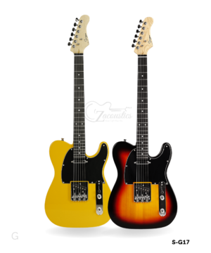 S-G17 Dual-Tone Electric Guitar